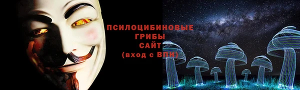 соль ск Нея