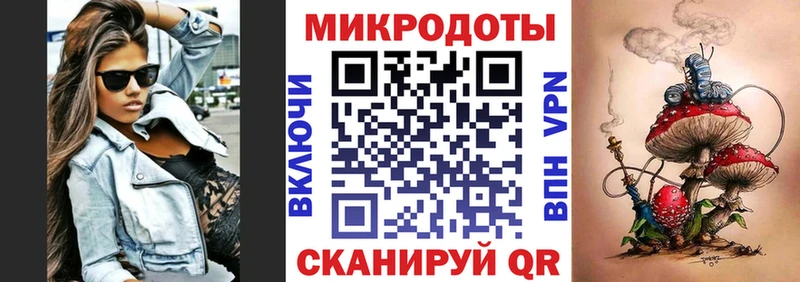 Купить где  Ветлуга  Псилоцибиновые грибы Cubensis 